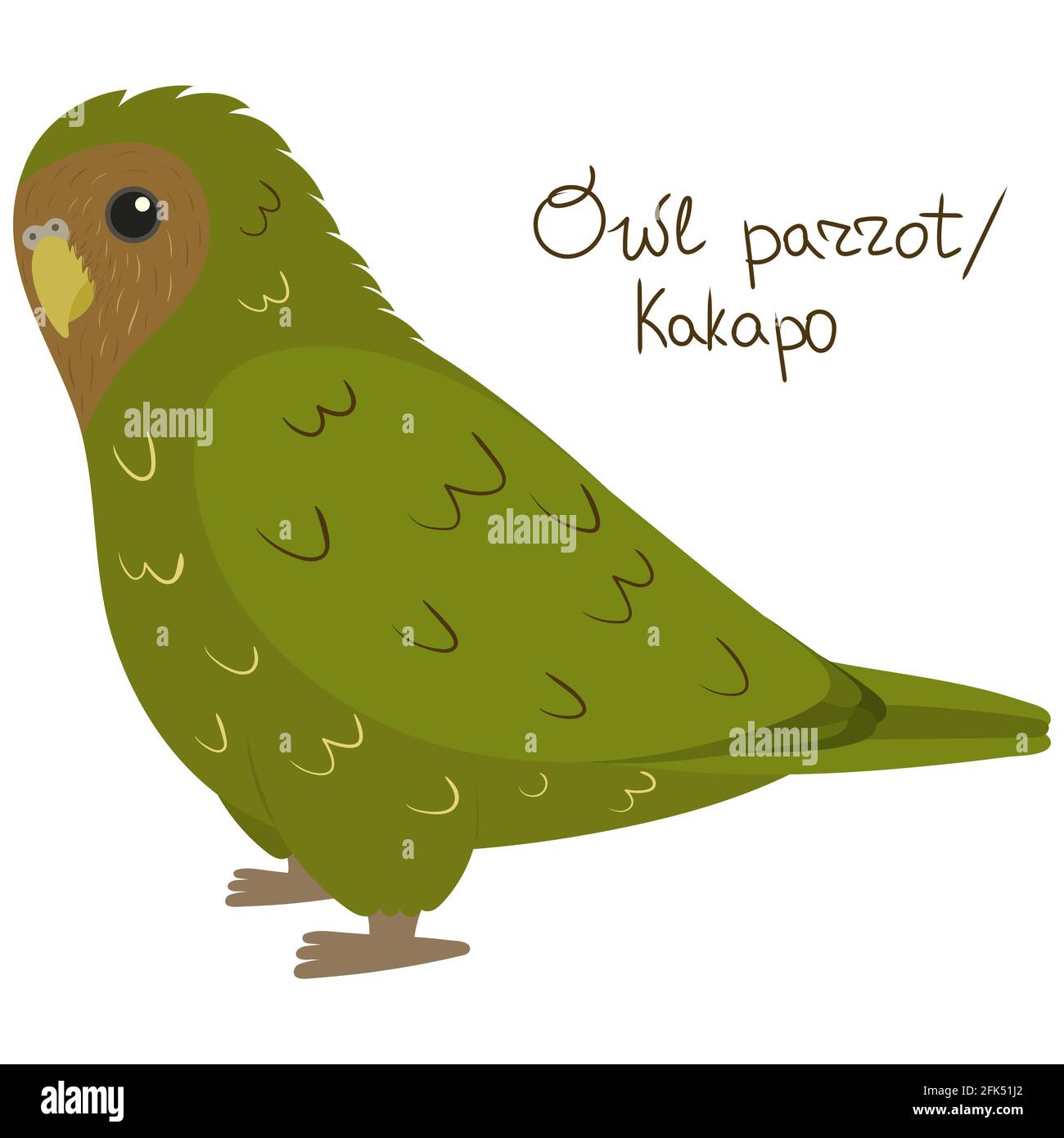 Pappagallo di gufo o kakapo in stile cartoon su sfondo bianco. Illustrazione vettoriale disegnata a mano. Strigops habroptila. Illustrazione Vettoriale