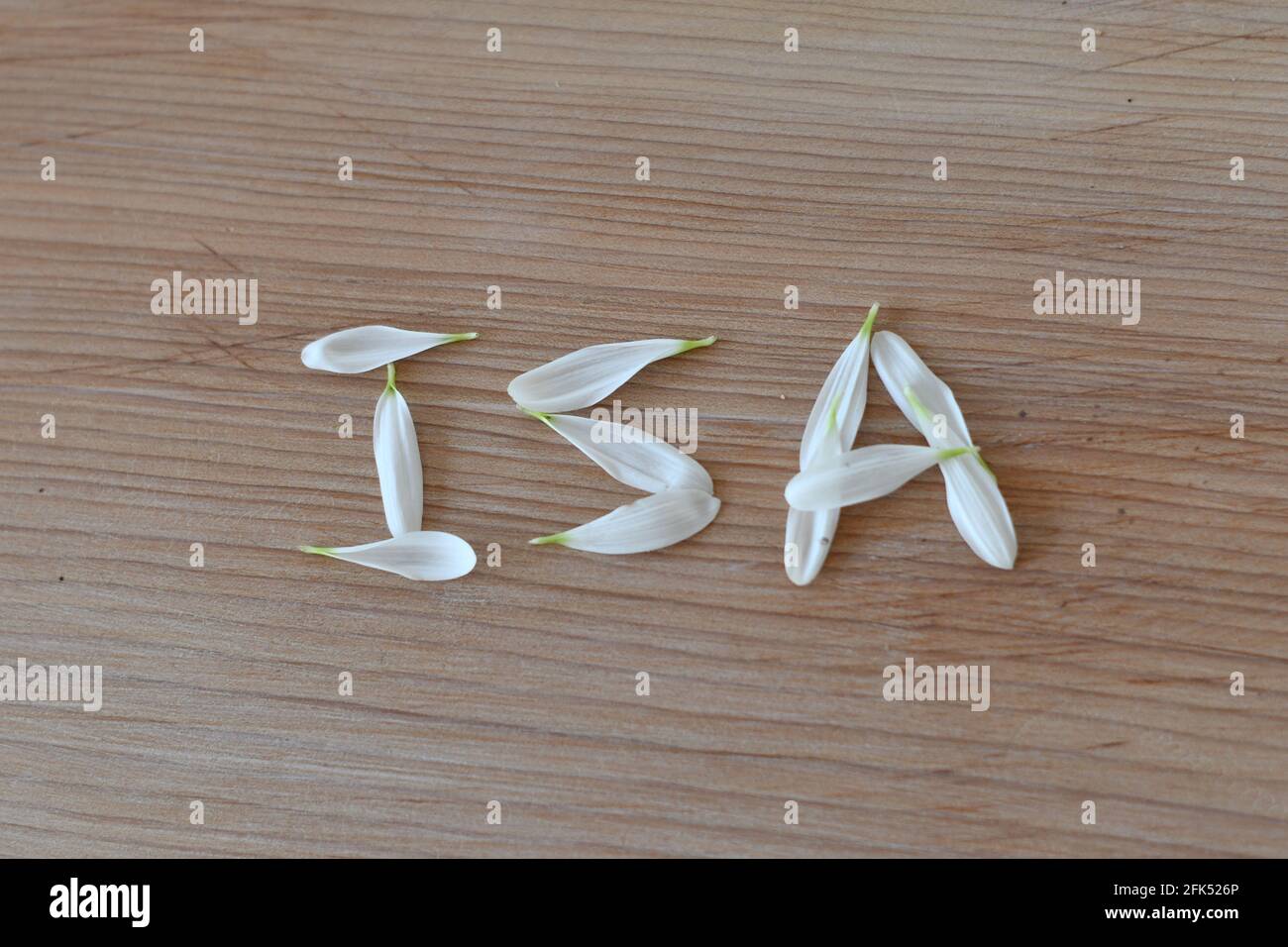 ISA, conto di risparmio di investimento, di petali su una superficie di cedro, ISA verde Foto Stock