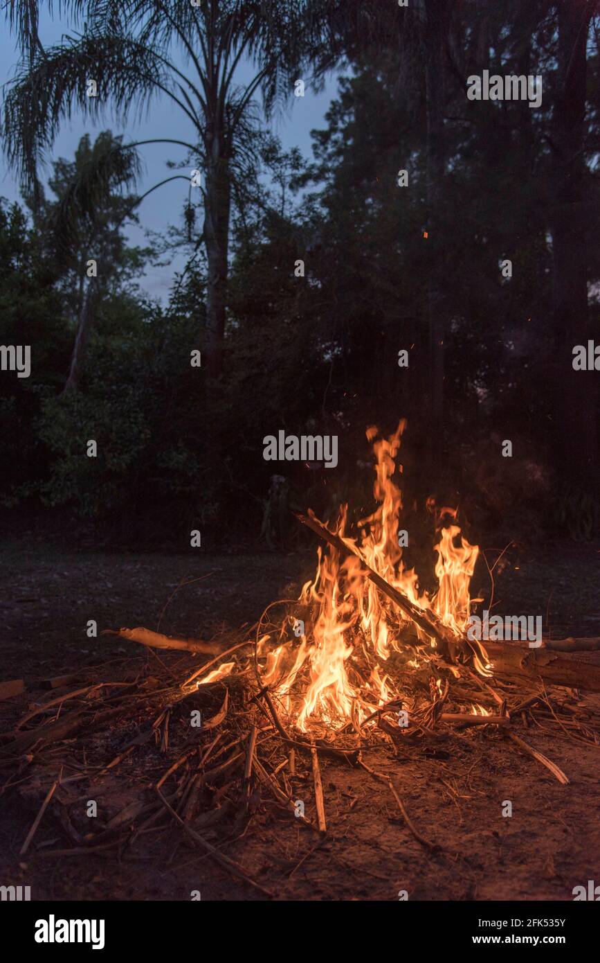 Falò nella natura. Concetti di viaggio, avventure e divertimento all'aperto. Immagine verticale senza persone con spazio di copia. Foto Stock