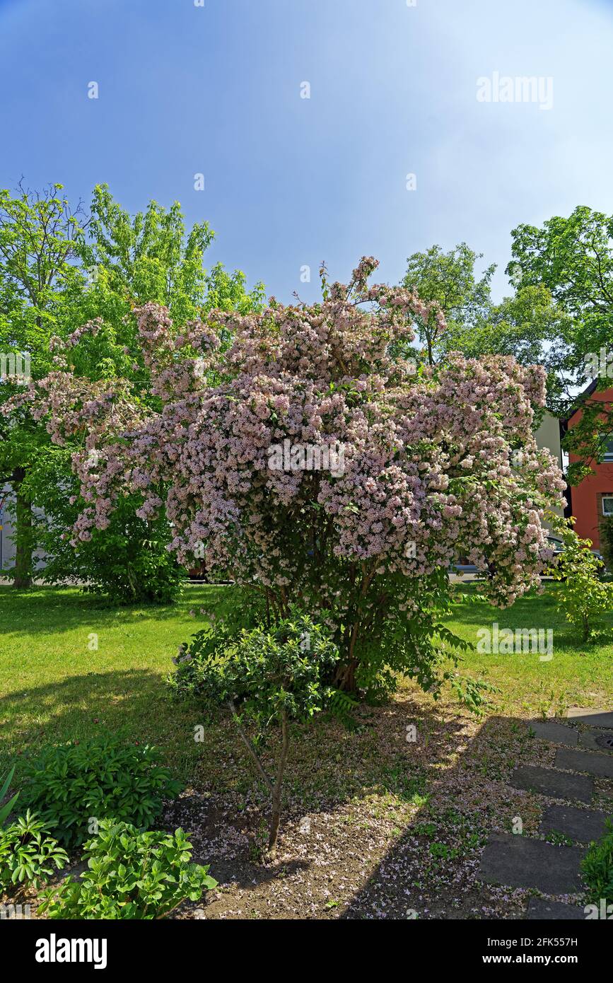 Kirche, katholisch, Sankt Martin, Pfarrgarten, Sternenweg, Teil Jakobsweg Foto Stock