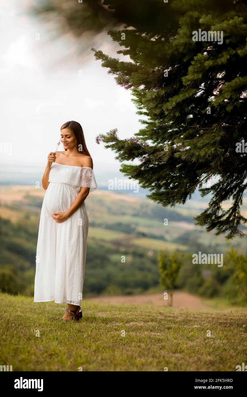 Giovane donna incinta in vestito bianco alla foresta sopra una giornata estiva Foto Stock