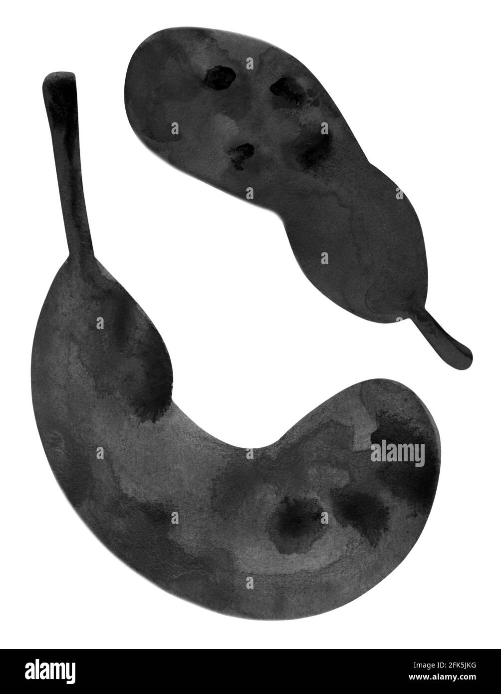 Immagine acquerello di zucche monocromatiche isolate su sfondo bianco. Illustrazione della scheda di Halloween. Disegno per l'invito, poster, cartolina, Foto Stock