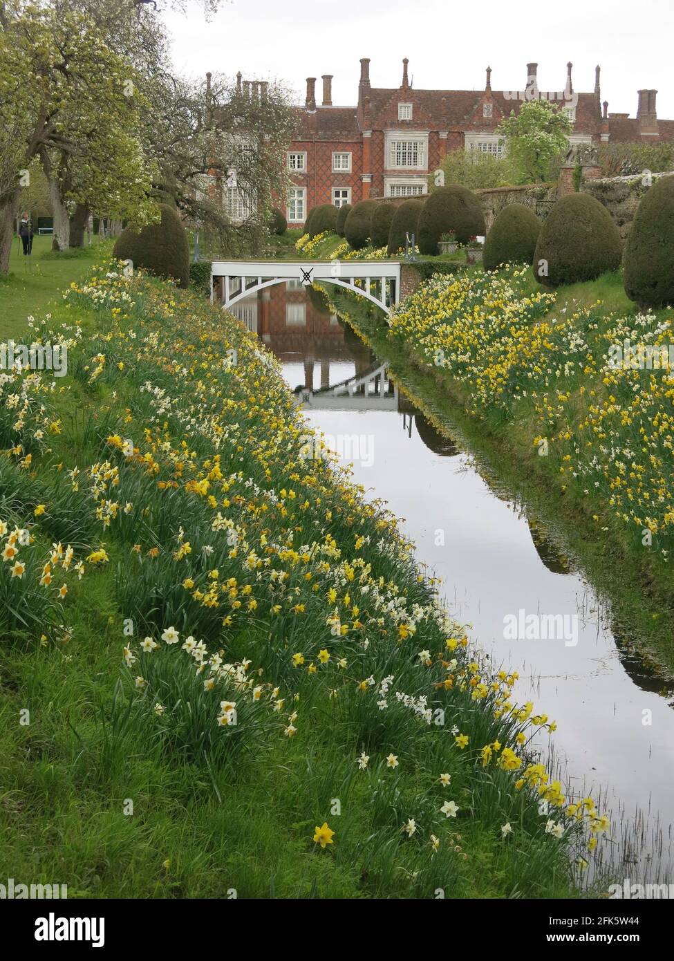 Bella vista primaverile dei narcisi che coprono le rive del fossato giardino e il ponte bianco che conduce al giardino murato a Helmingham Hall. Foto Stock