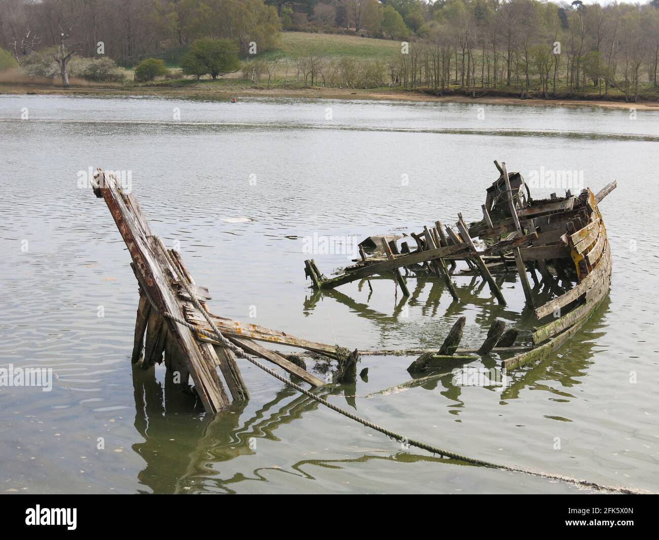 Resti di una vecchia barca di legno naufragata, i suoi blocchi di legno marcio visibile a bassa marea dal sentiero costiero presso l'estuario del fiume Deben vicino Melton. Foto Stock