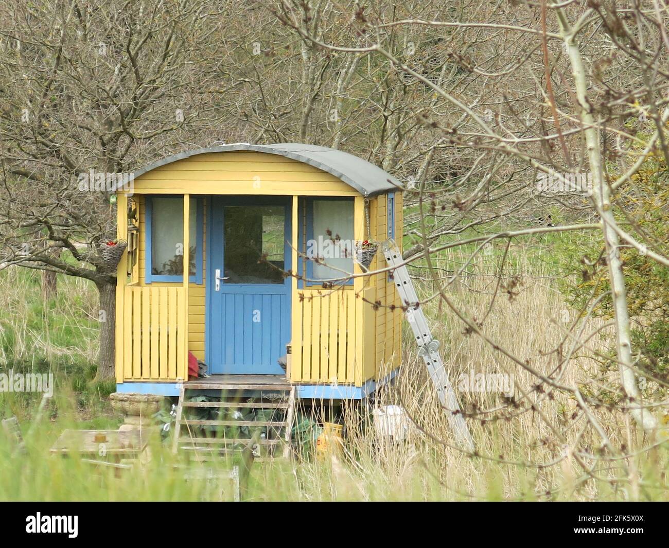 Una capanna di pastore fatta in casa blu e gialla nello stile di una vecchia carrozza ferroviaria fa un rifugio segreto nella campagna del Suffolk. Foto Stock