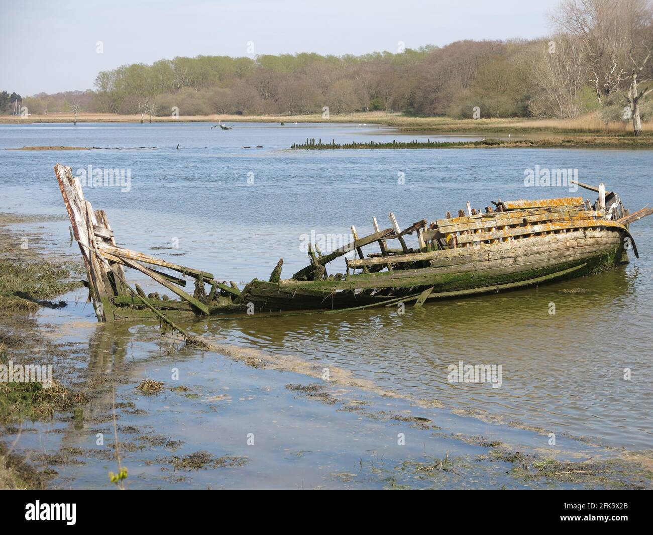 Resti di una vecchia barca di legno naufragata, i suoi blocchi di legno marcio visibile a bassa marea dal sentiero costiero presso l'estuario del fiume Deben vicino Melton. Foto Stock