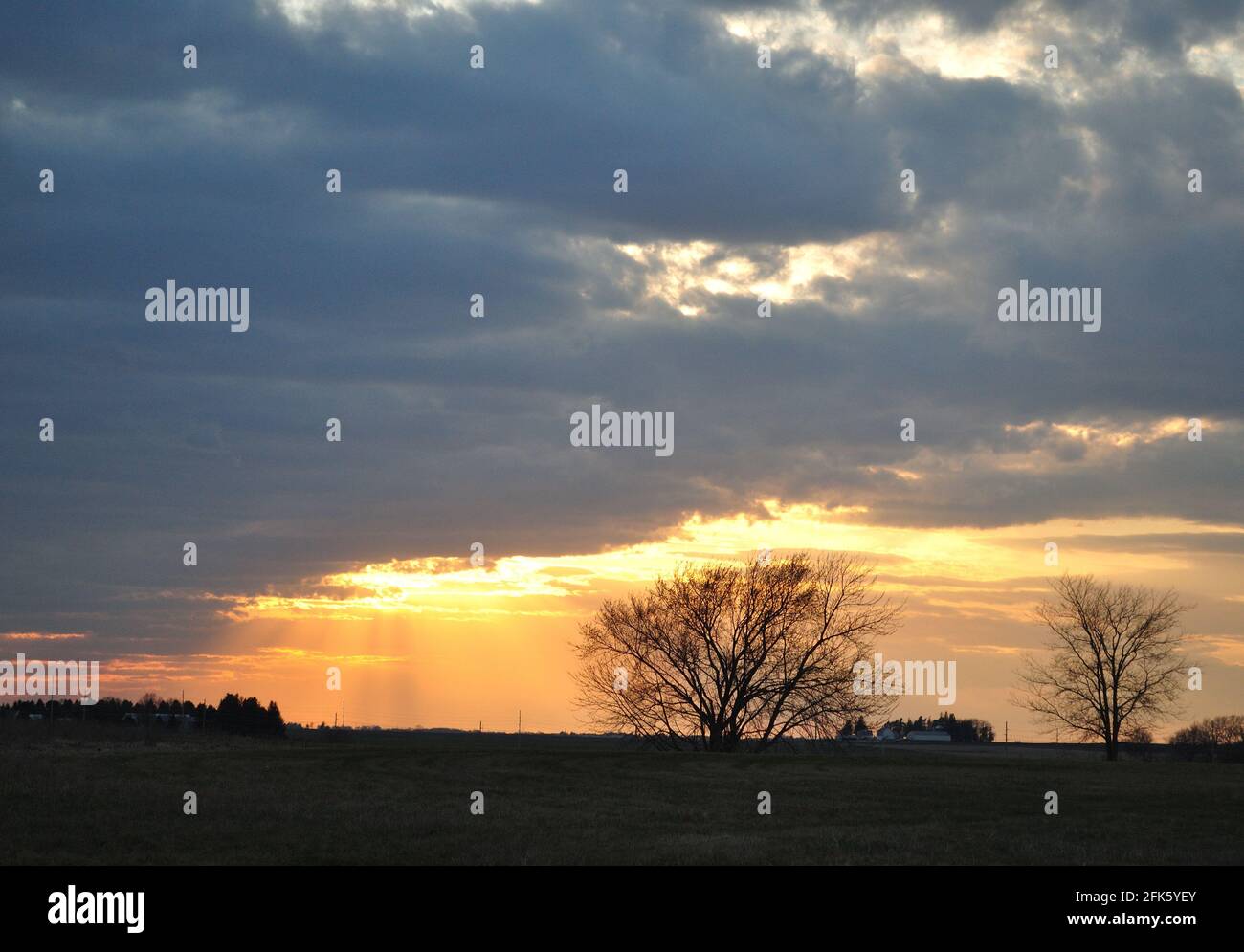 Tramonto di aprile a Cedar Falls, Iowa, con le nuvole blu e l'orizzonte arancione brillante con alberi senza foglie in primo piano. Foto Stock