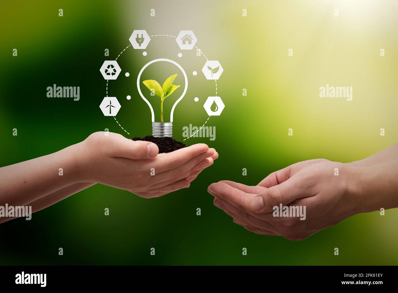 Concetto di fonti energetiche sostenibili con lampadina e impianto Foto Stock