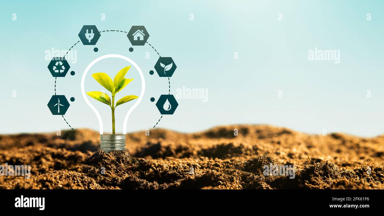 Concetto di fonti energetiche sostenibili con lampadina e impianto Foto Stock