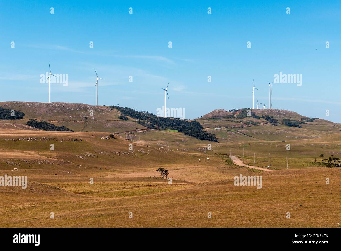 Parco eolico di Bom Jardim da Serra, Stato di Santa Catarina, Brasile Foto Stock