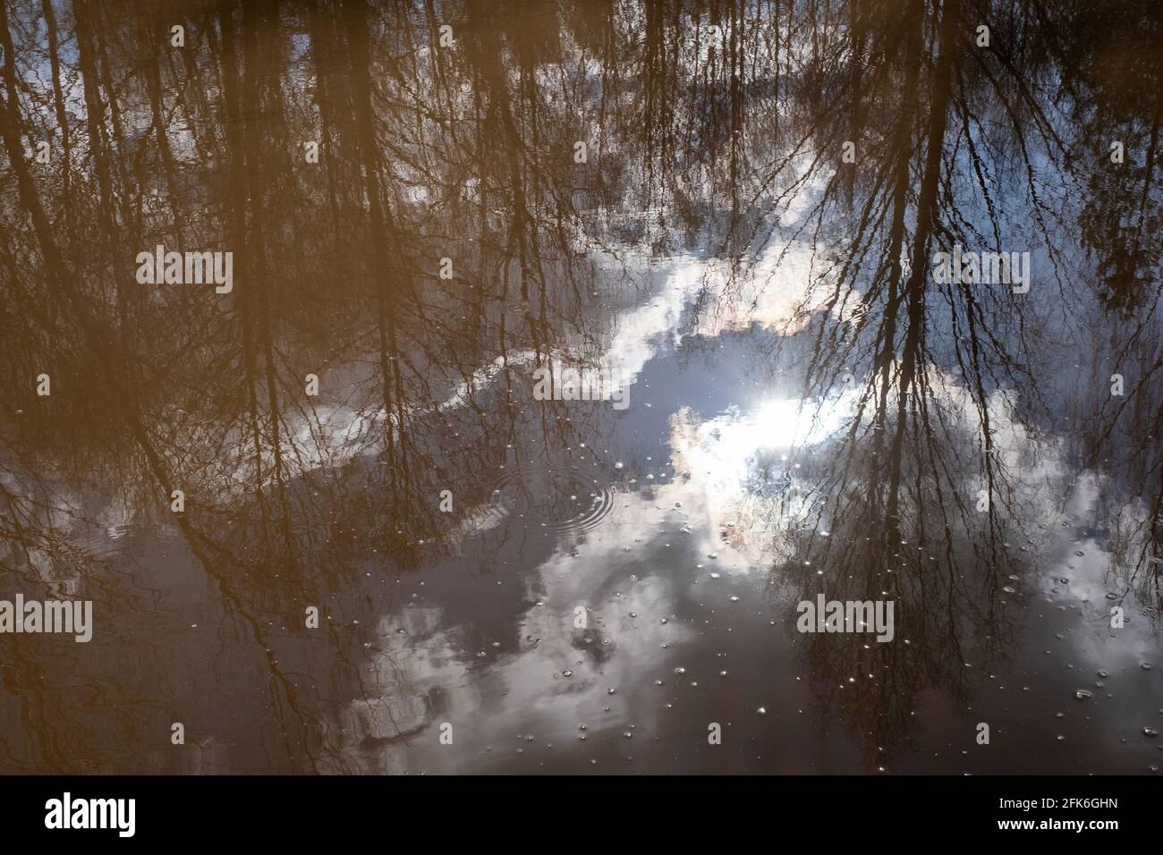 Riflesso di alberi senza foglie, cielo, nuvole e sole in acqua. Un'astrazione. Foto Stock