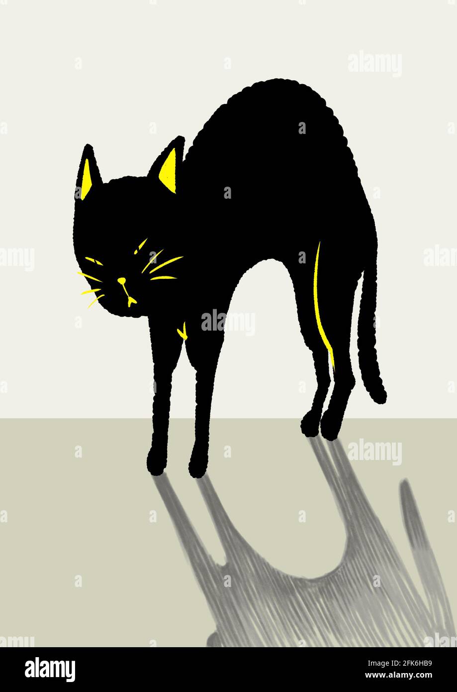 Immagine di un gatto nero con una parte posteriore piegata Foto Stock