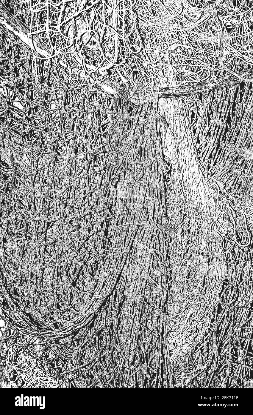 Trama stressata di corda intrecciata, rete da pesca, rete tessile. Sfondo grunge. Illustrazione vettoriale astratta di mezzitoni Illustrazione Vettoriale