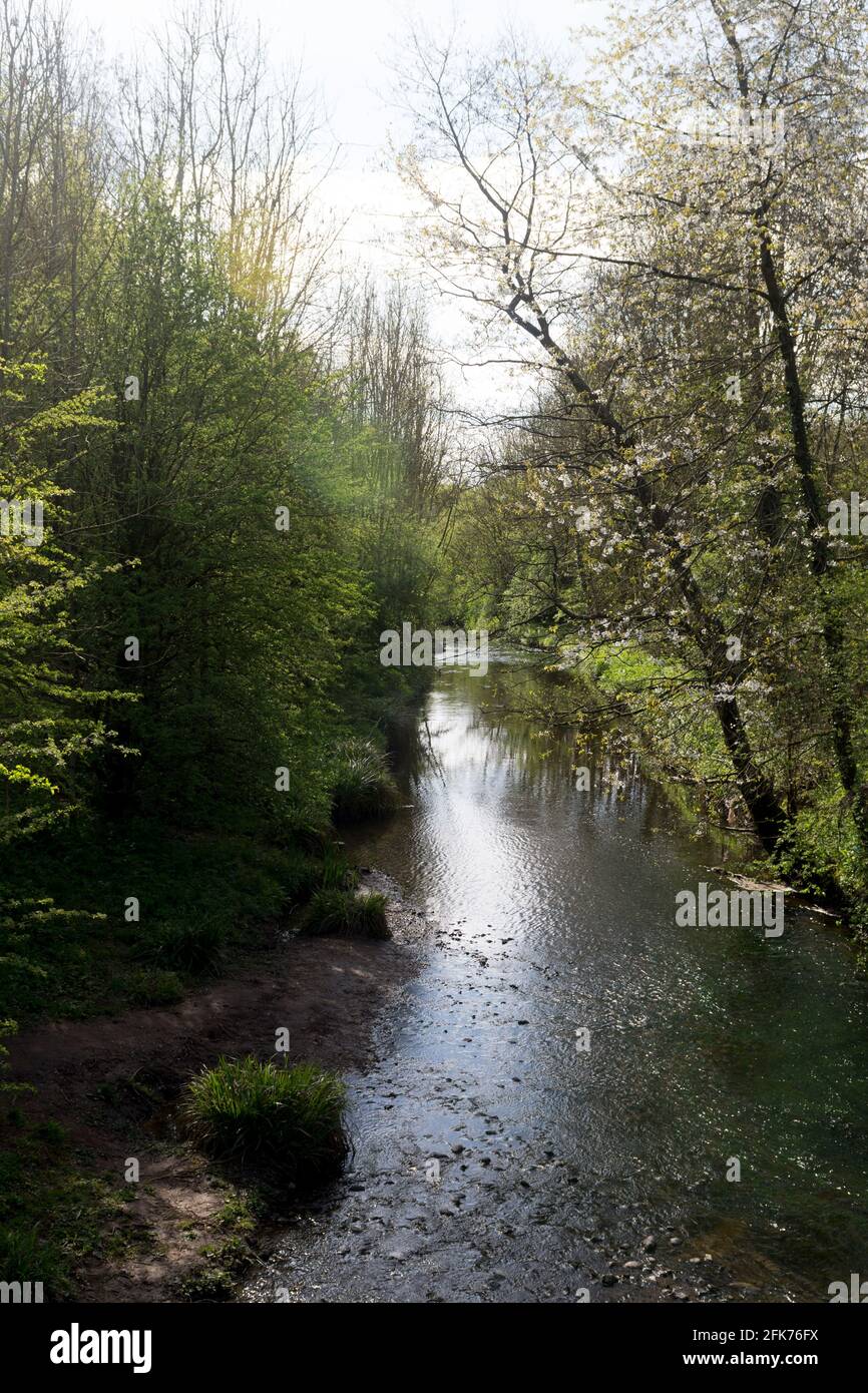 La freccia del fiume a Arrow Valley Country Park, Redditch, Worcestershire, Inghilterra, Regno Unito Foto Stock