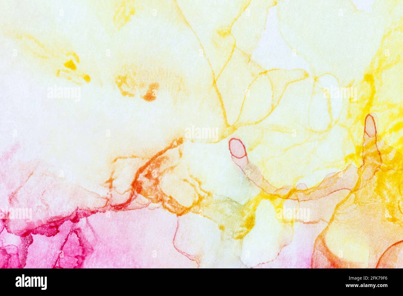 Primo piano macro di strati e schizzi di inchiostro di alcol giallo e rosa, sfondo astratto. Inchiostro fluido, sfondo colorato testurizzato. Colori vivaci. Foto Stock