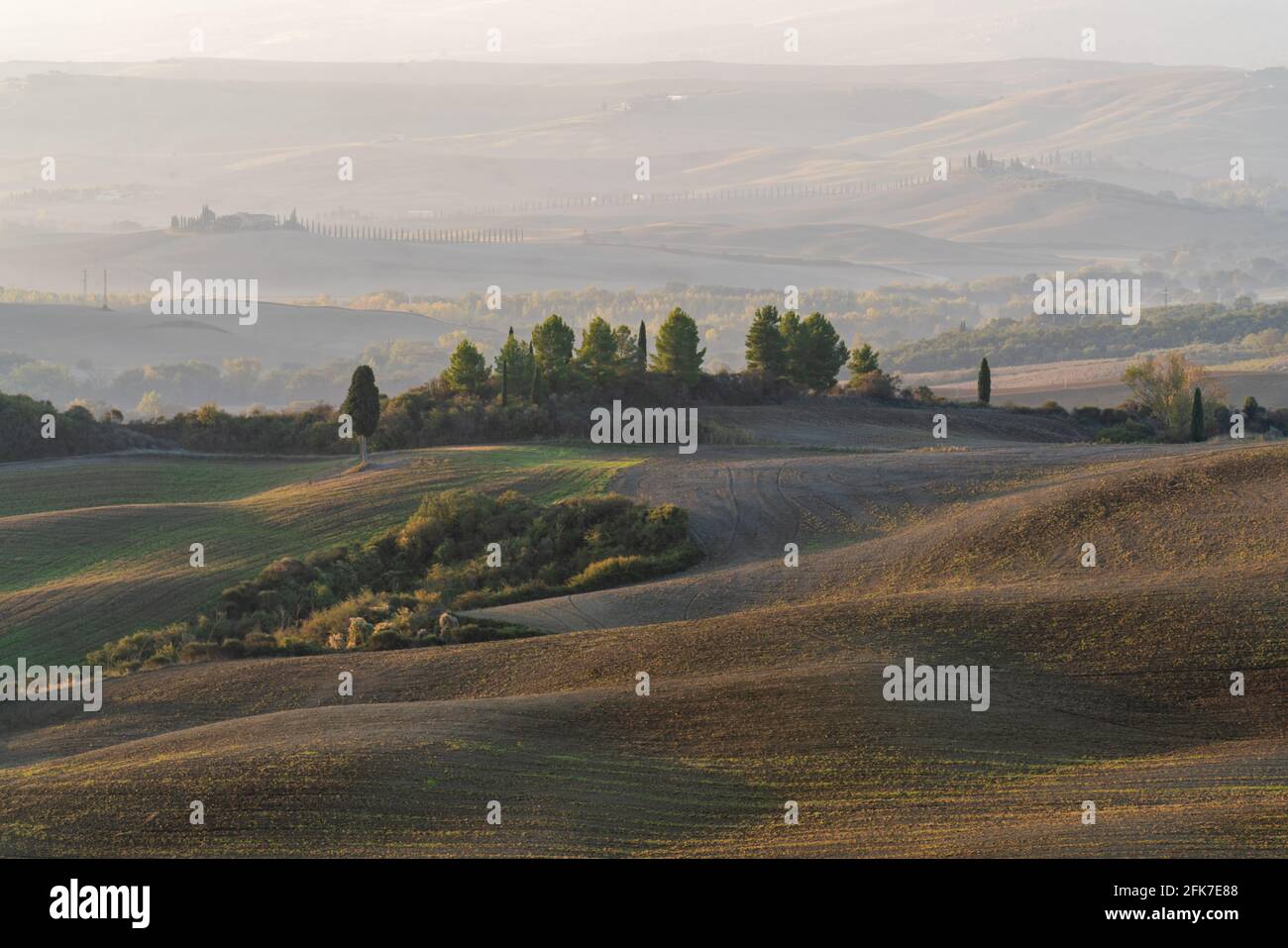 Una splendida vista panoramica su una mattinata autunnale delle colline toscane con erba arata e verde ricoperta da splendidi campi ondulati. Il Foto Stock