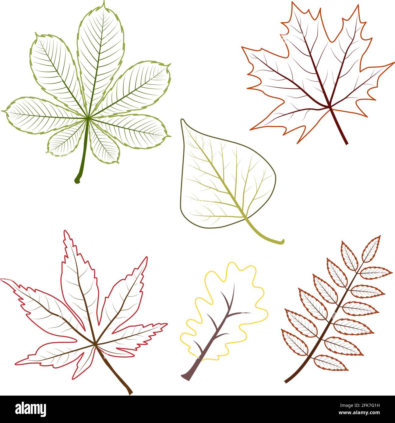 profilo autunno acero uva quercia betulla rowan foglie di castagno Illustrazione Vettoriale