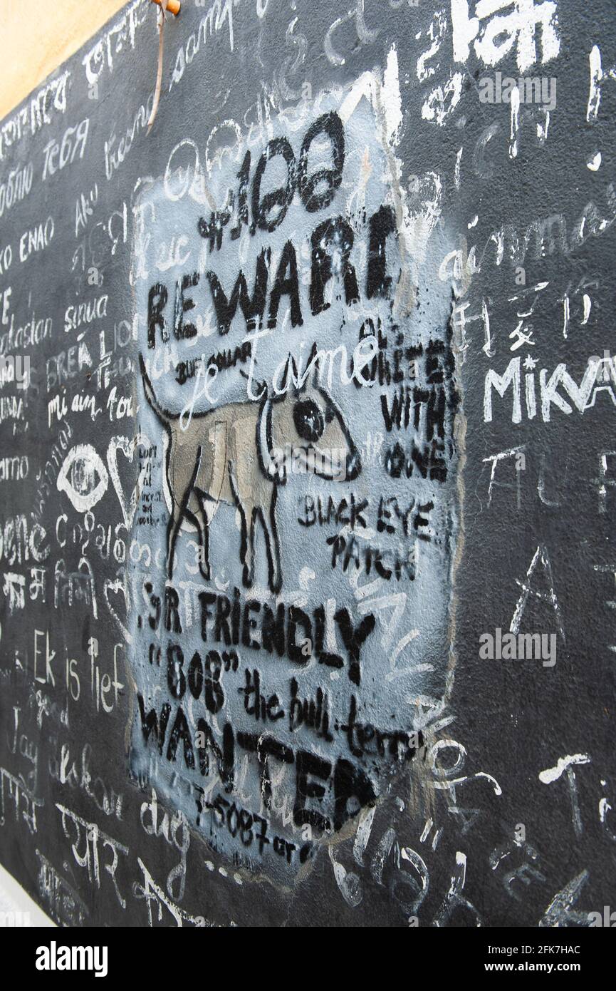 PONDICHERRY, INDIA - Aprile 2021: Graffiti realizzati dal Street artist francese Aurèle LostDog. Foto Stock