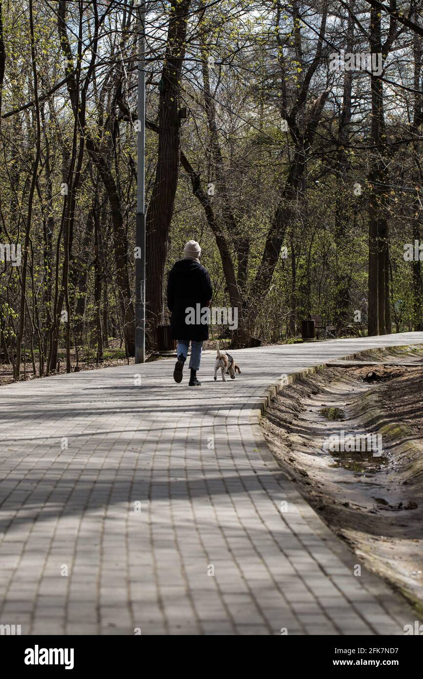 Donna mid adult che cammina con un'aquila nel parco pubblico. Foto Stock