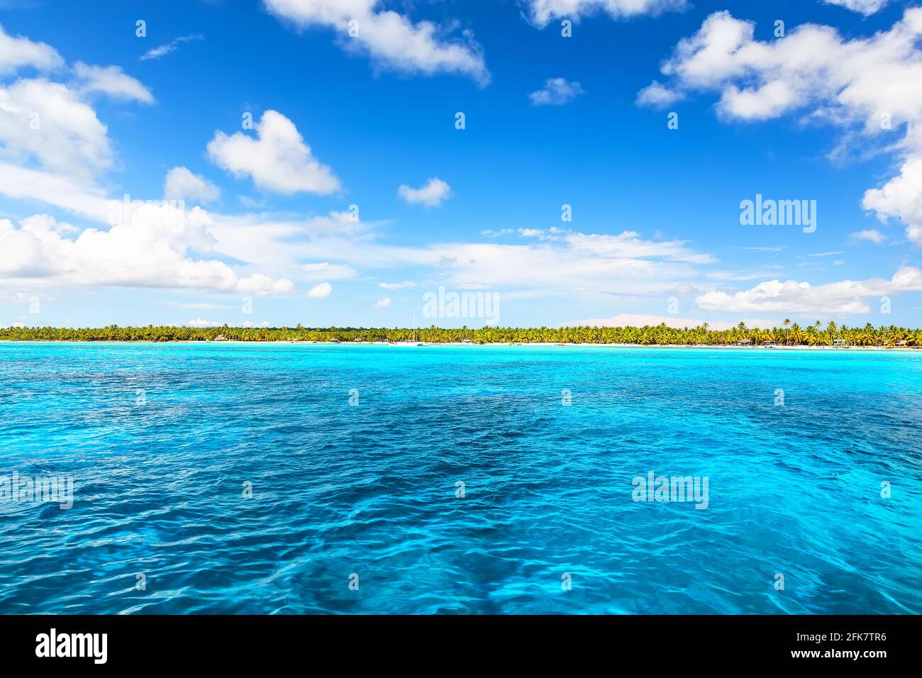 Palme da cocco sulla spiaggia di sabbia bianca di Punta Cana, Repubblica Dominicana. Vacanze di vacanza estate sfondo. Vista su una bella spiaggia tropicale. Foto Stock