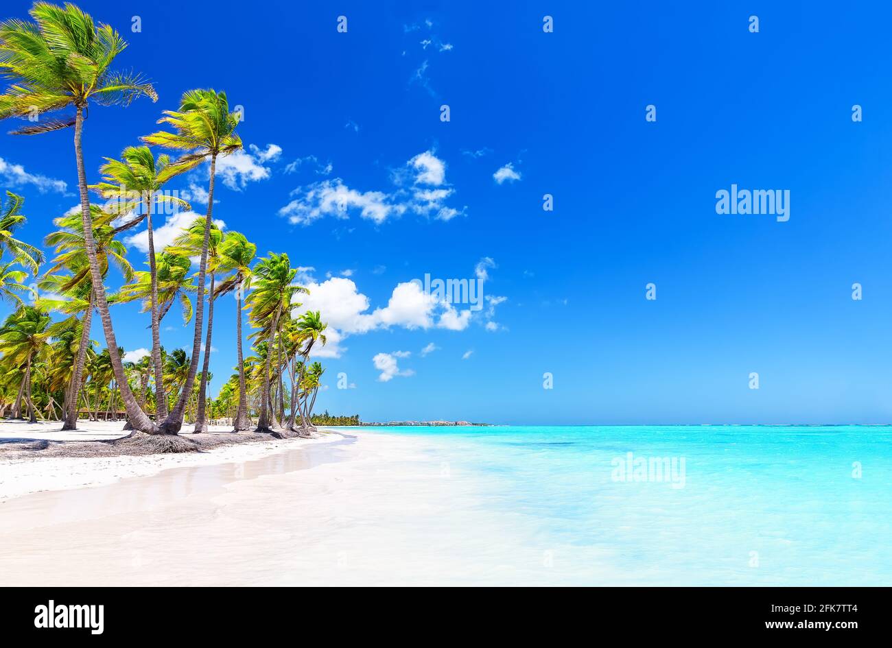 Palme da cocco sulla spiaggia di sabbia bianca di Punta Cana, Repubblica Dominicana. Vacanze di vacanza estate sfondo. Vista su una bella spiaggia tropicale. Foto Stock