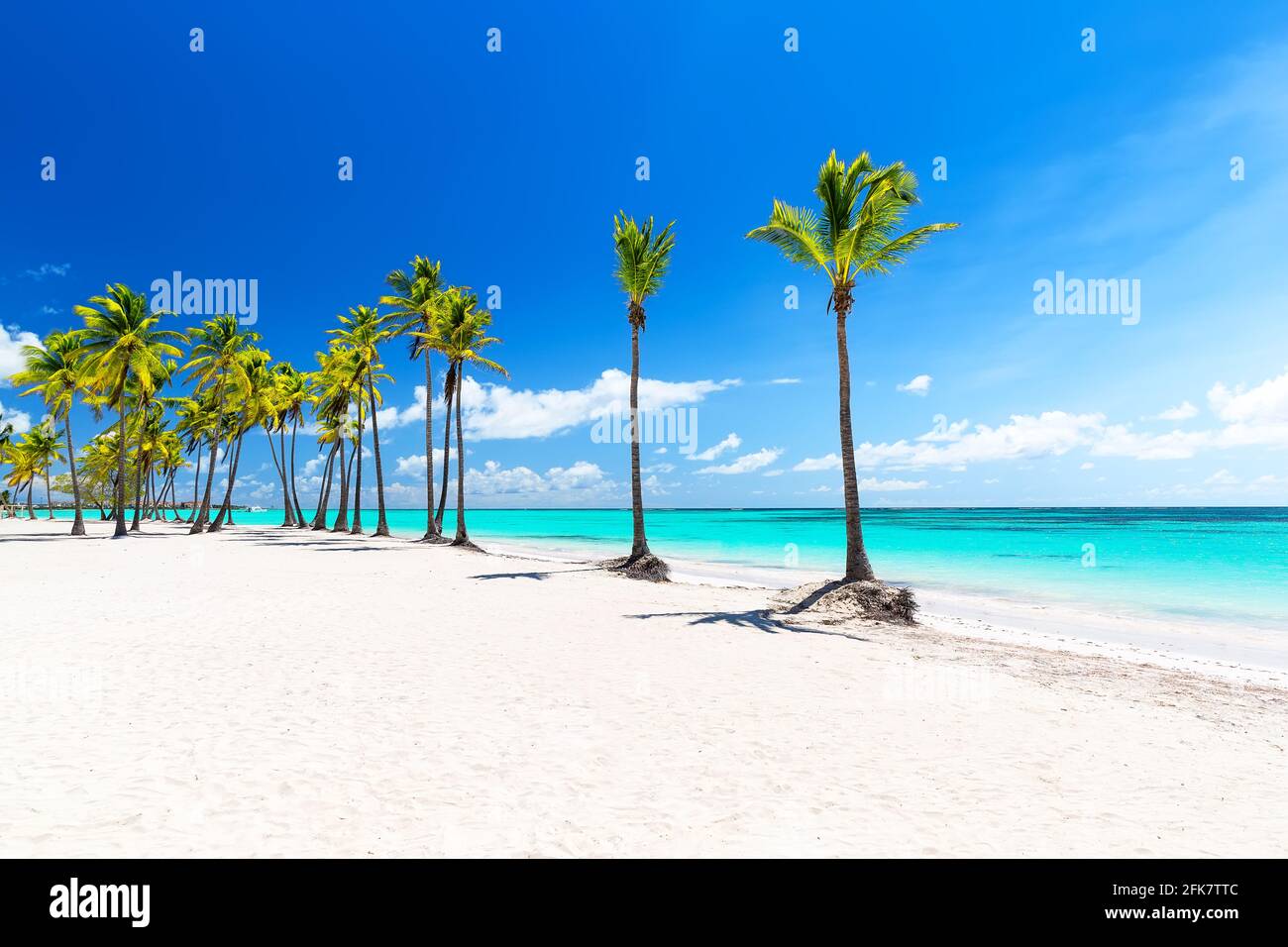 Palme da cocco sulla spiaggia di sabbia bianca di Punta Cana, Repubblica Dominicana. Vacanze di vacanza estate sfondo. Vista su una bella spiaggia tropicale. Foto Stock