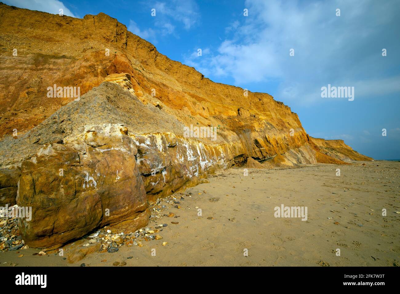 Compton,Bay,Iguanodon,footprint,casts,Wealden Beds,Geologia,paleontologia,sedimentario,erosione,Isola di Wight,Inghilterra,Regno Unito, Foto Stock