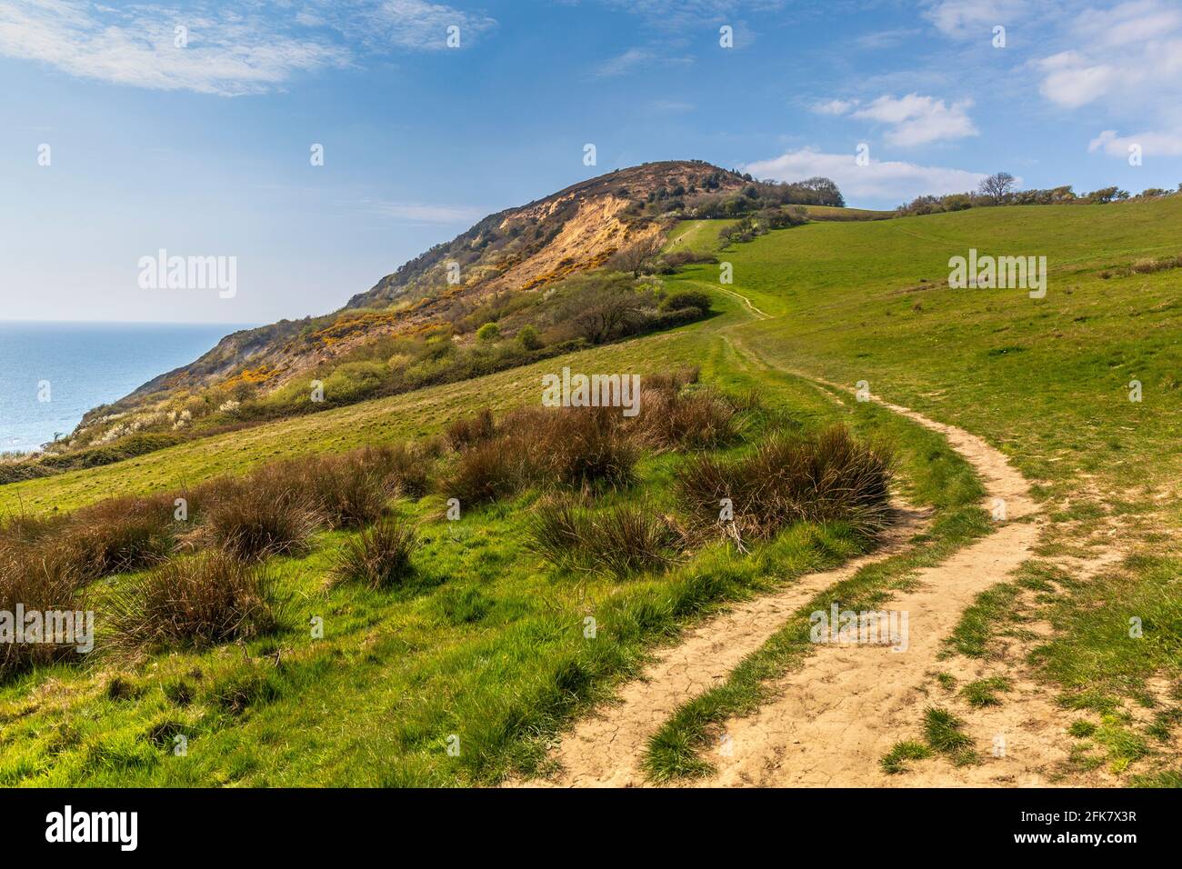 Il South West Coast Path che conduce al Golden Cap sulla Jurassic Coast, Dorset, Inghilterra Foto Stock