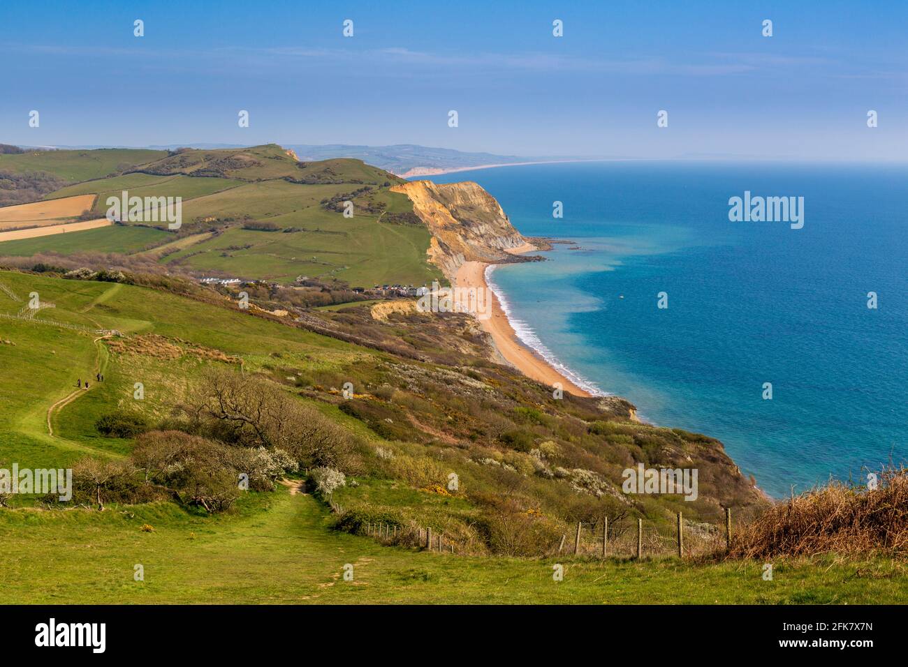 Seatown Beach e il Ridge Cliff Land cadono dal South West Coast Path sul Golden Cap, Dorset, Inghilterra Foto Stock