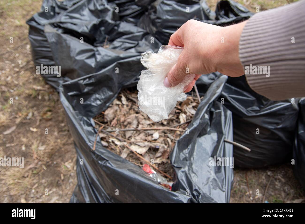 Una mano mette un sacchetto di plastica bianco in un sacchetto della spazzatura. Raccolta di rifiuti per le strade della città. Pulizia stagionale delle strade della città. Servizio di pulizia Foto Stock