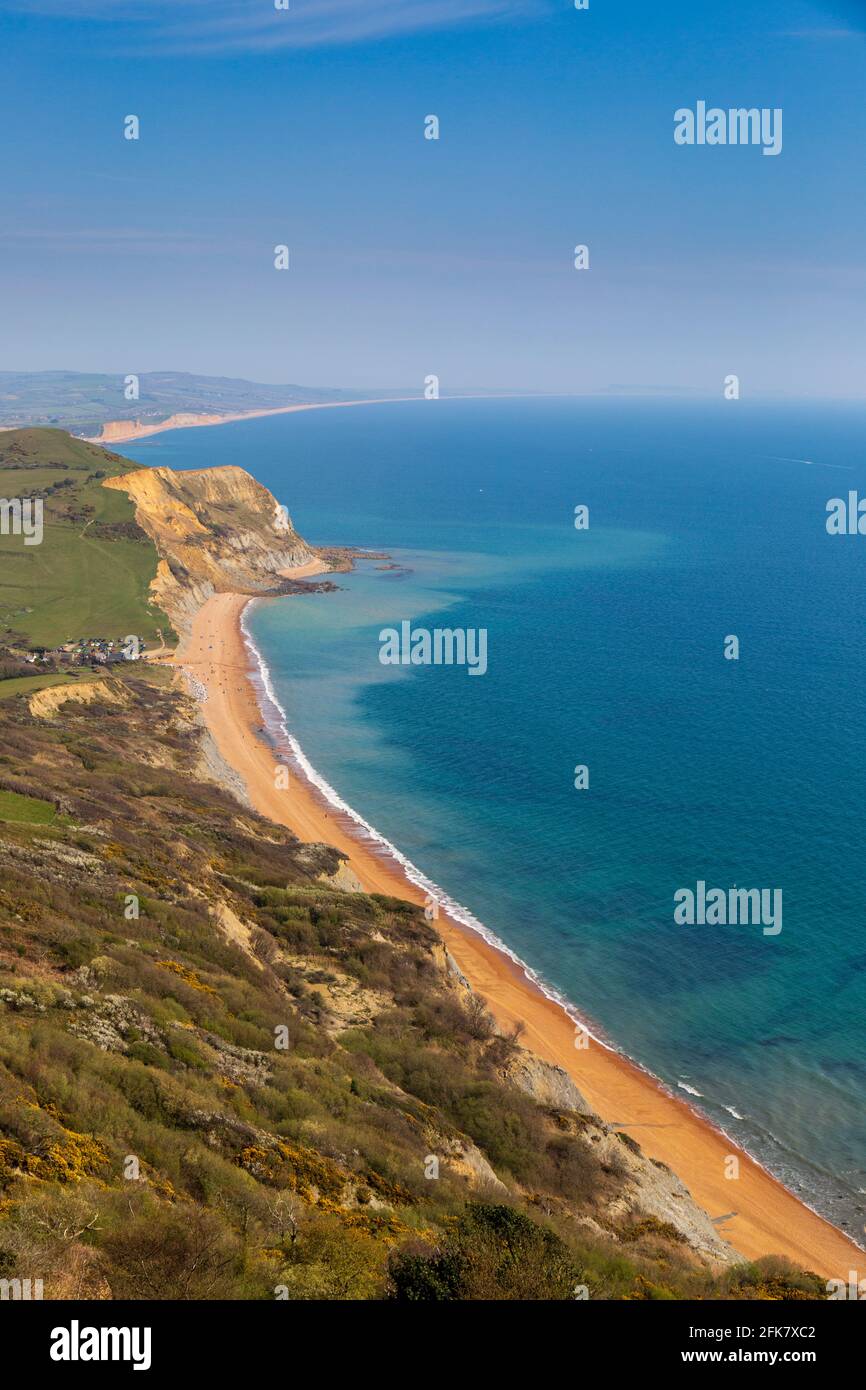 Seatown Beach e il Ridge Cliff Land cadono dal Golden Cap sulla Jurassic Coast, Dorset, Inghilterra Foto Stock