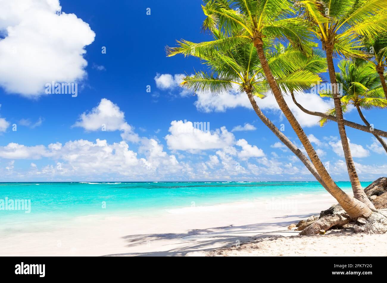 Palme da cocco sulla spiaggia di sabbia bianca di Punta Cana, Repubblica Dominicana. Vacanze di vacanza estate sfondo. Vista su una bella spiaggia tropicale. Foto Stock