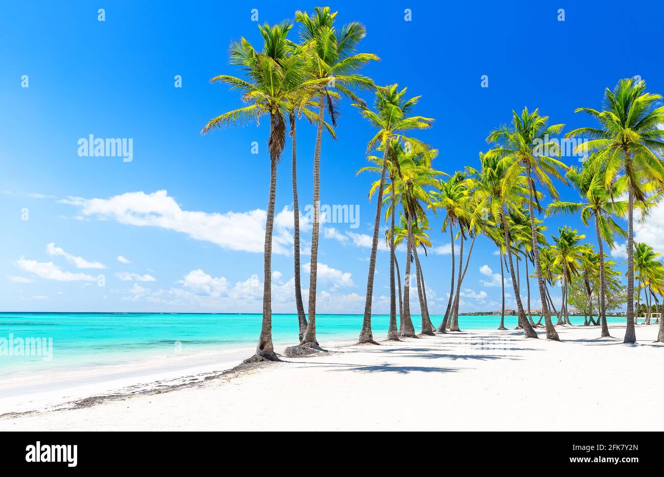 Palme da cocco sulla spiaggia di sabbia bianca di Punta Cana, Repubblica Dominicana. Vacanze di vacanza estate sfondo. Vista su una bella spiaggia tropicale. Foto Stock