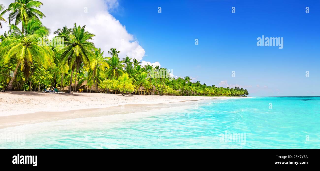 Panorama di palme da cocco sulla spiaggia di sabbia bianca dell'isola di Saona, Repubblica Dominicana. Vacanze di vacanza estate sfondo. Vista di una bella atmosfera tropicale Foto Stock