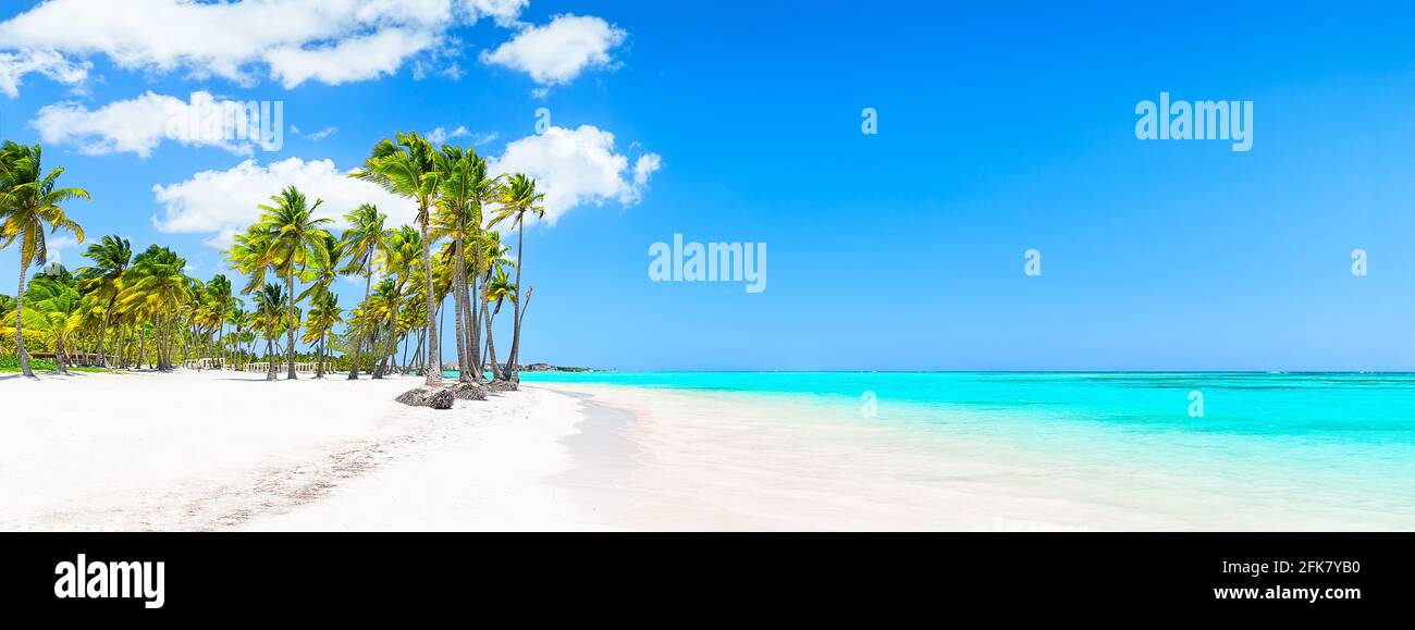 Panorama di palme da cocco sulla spiaggia di sabbia bianca a Punta Cana, Repubblica Dominicana. Vacanze sfondo estate. Vista della spiaggia tropicale. Foto Stock