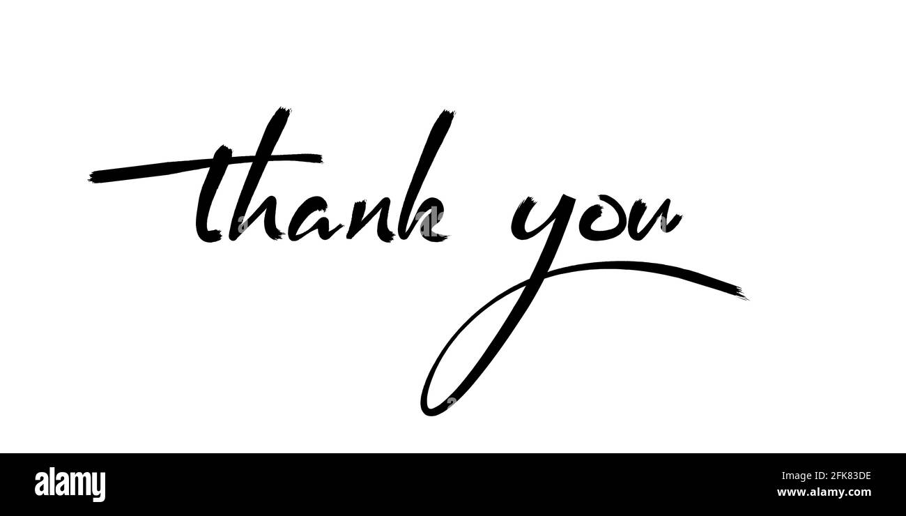 'grazie' lancetta - calligrafia manuale illustrazione vettoriale eps10 Illustrazione Vettoriale