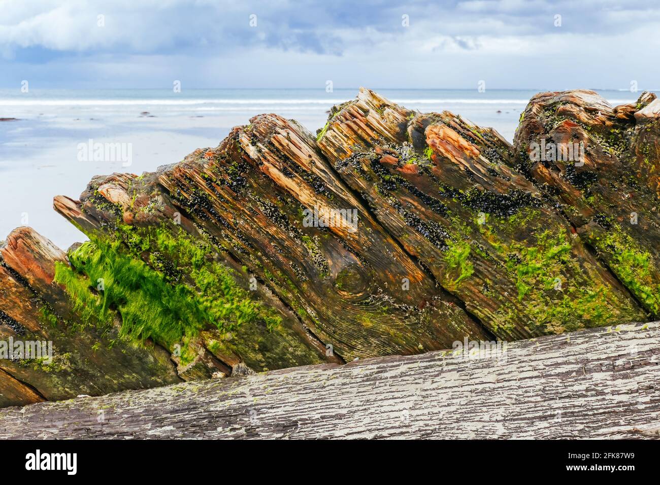 Amazon Shipwreck a Inverloch Australia Foto Stock