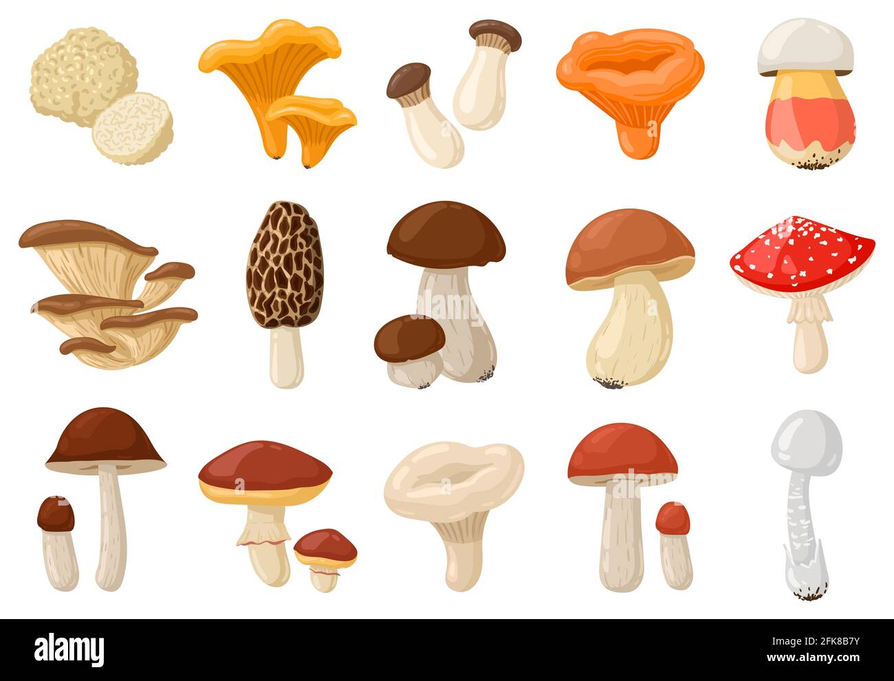 Funghi fumetti. Insieme di illustrazioni vettoriali isolate avvelenose e commestibili, chanterelle, cep, amanita e tartufo. Tipi di funghi selvatici della foresta Illustrazione Vettoriale