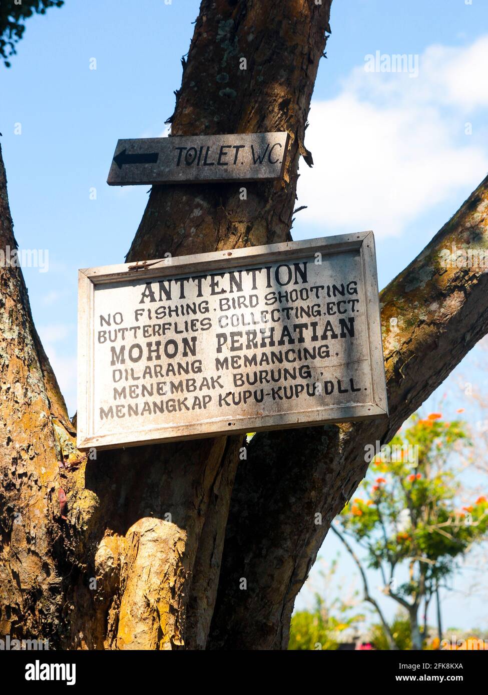 Un segno bianco dipinto a mano, che proibisce la pesca, tiro degli uccelli, raccolta delle farfalle. Presso il Palazzo dell'acqua Tirta Gangga a Bali, Indonesia. Foto Stock