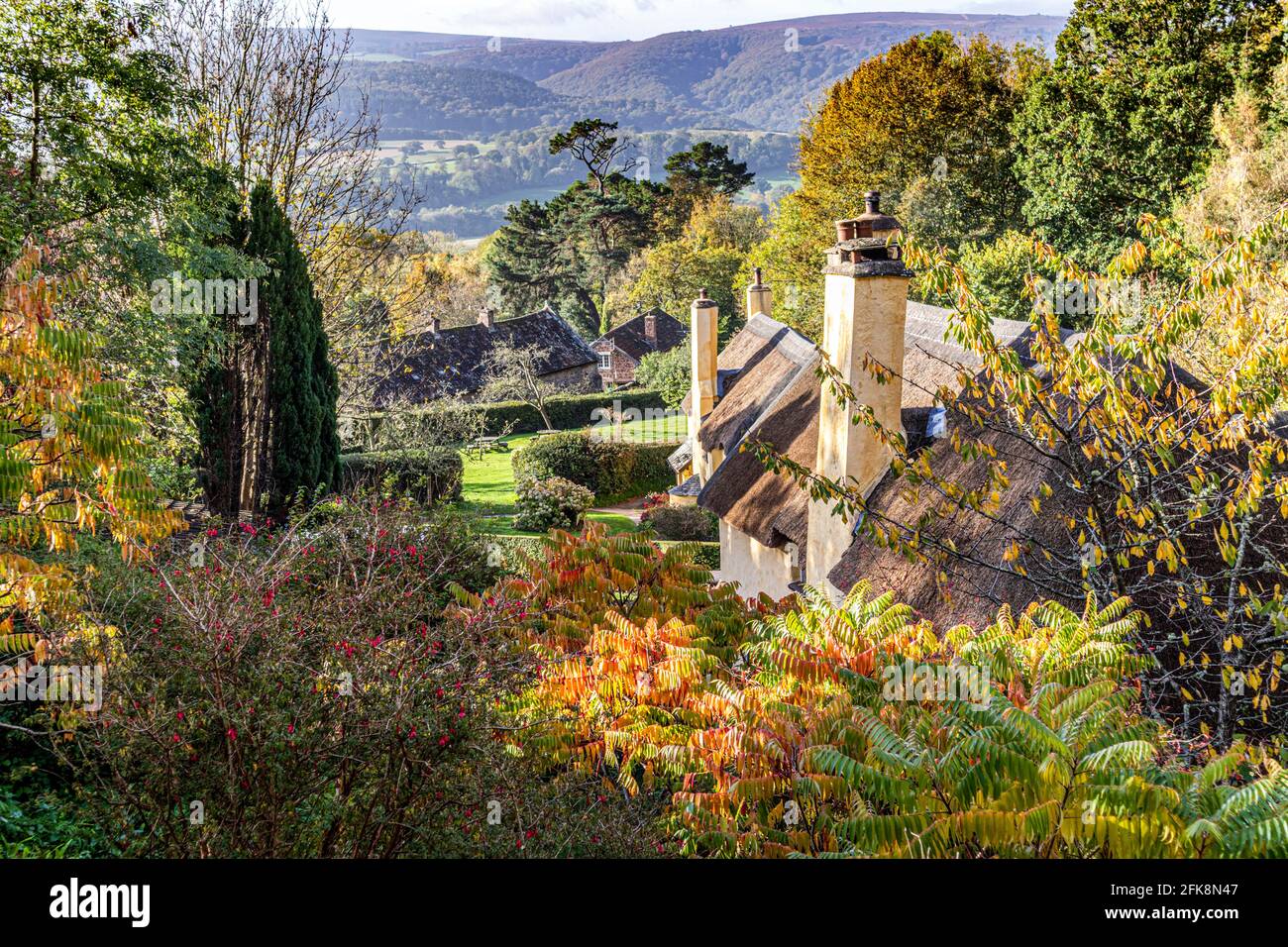 La mattina luce su cottage nel villaggio Exmoor di Selworthy, Somerset UK Foto Stock