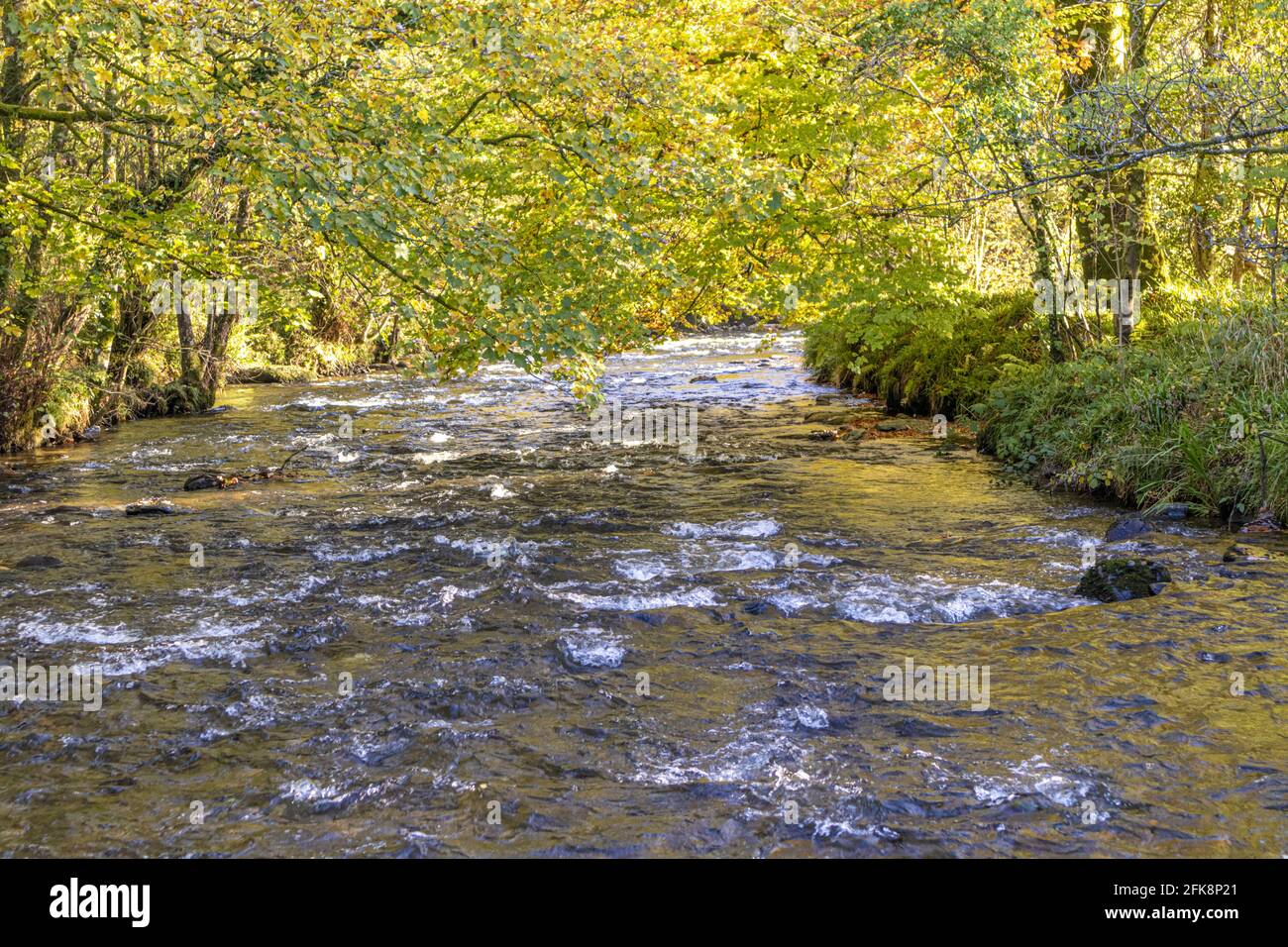 Il fiume Barle sul Parco Nazionale Exmoor subito a valle di Tarr Steps, Liscombe, Somerset UK Foto Stock