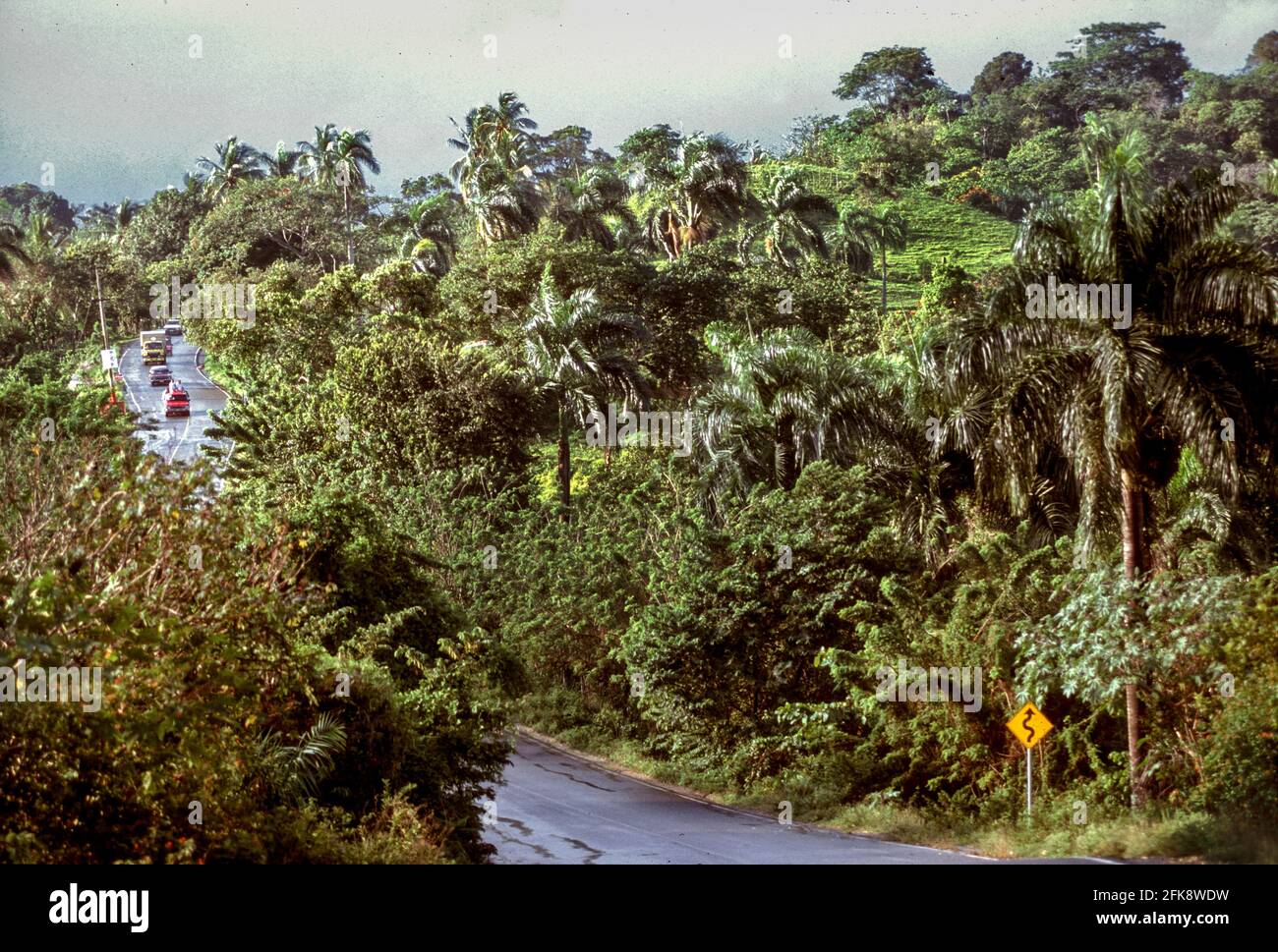 Dominikanische Republik, Verkehrsschild für kurvenreiche Strecke. Foto Stock