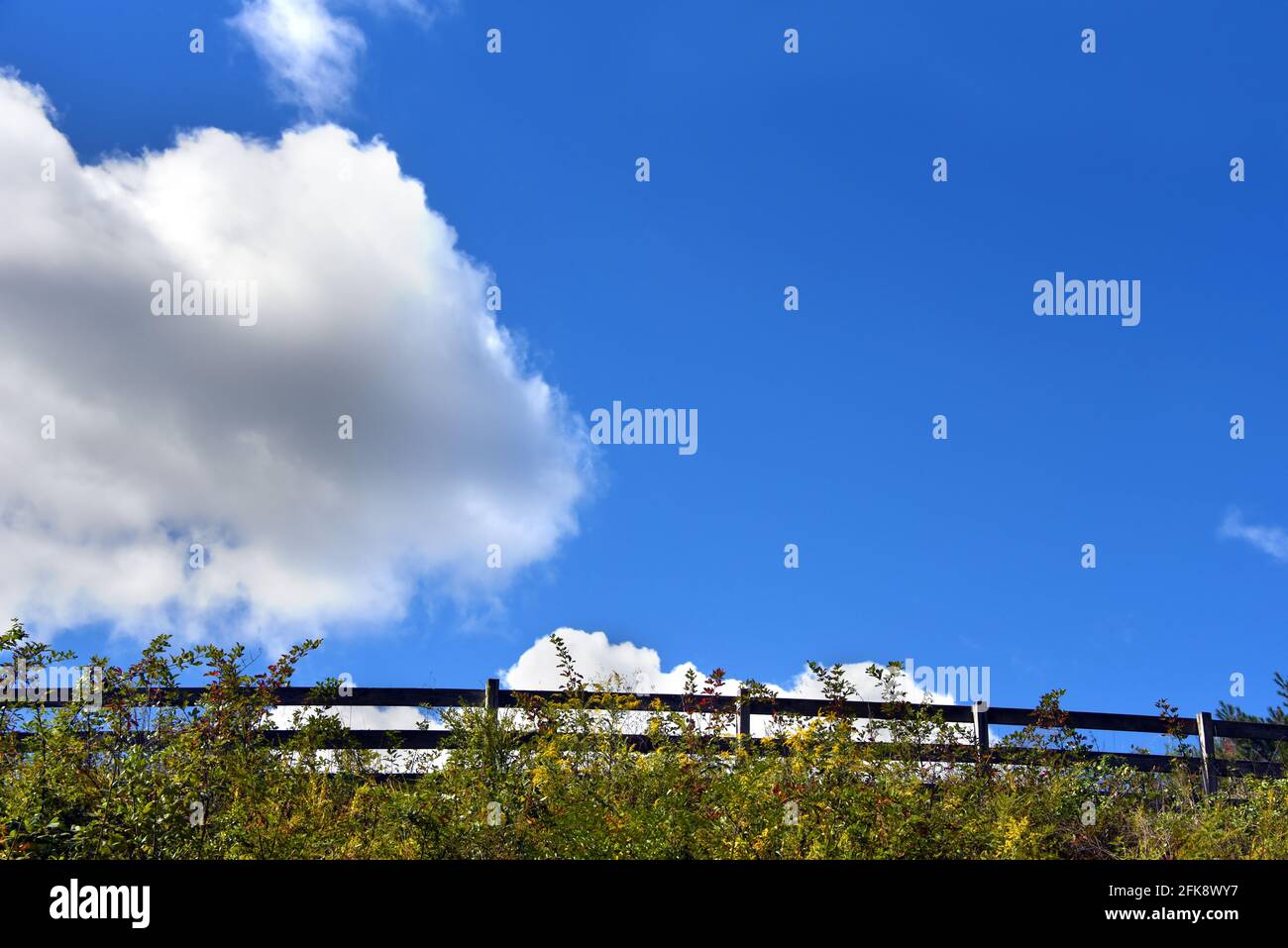 Immagine di sfondo mostra recinzione rustica in legno con vegetazione generica che incornicia un cielo blu vivo e una grande nuvola. Foto Stock