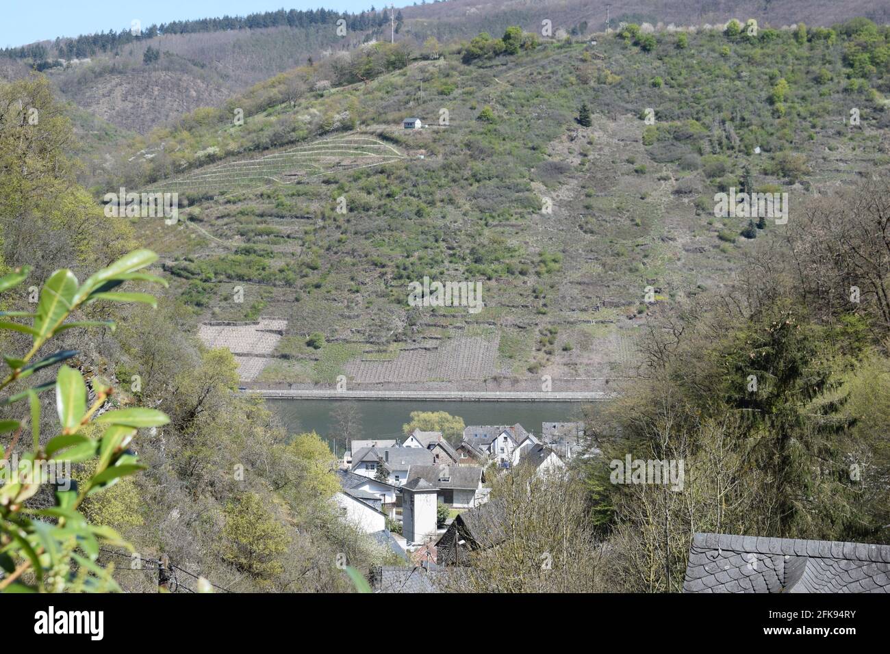 Vista sulla valle della Mosella in primavera Foto Stock