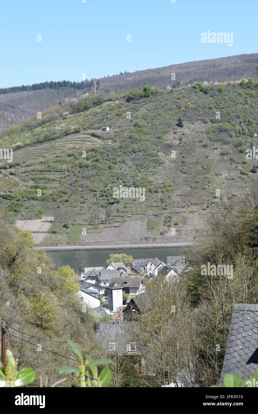 Vista sulla valle della Mosella in primavera Foto Stock