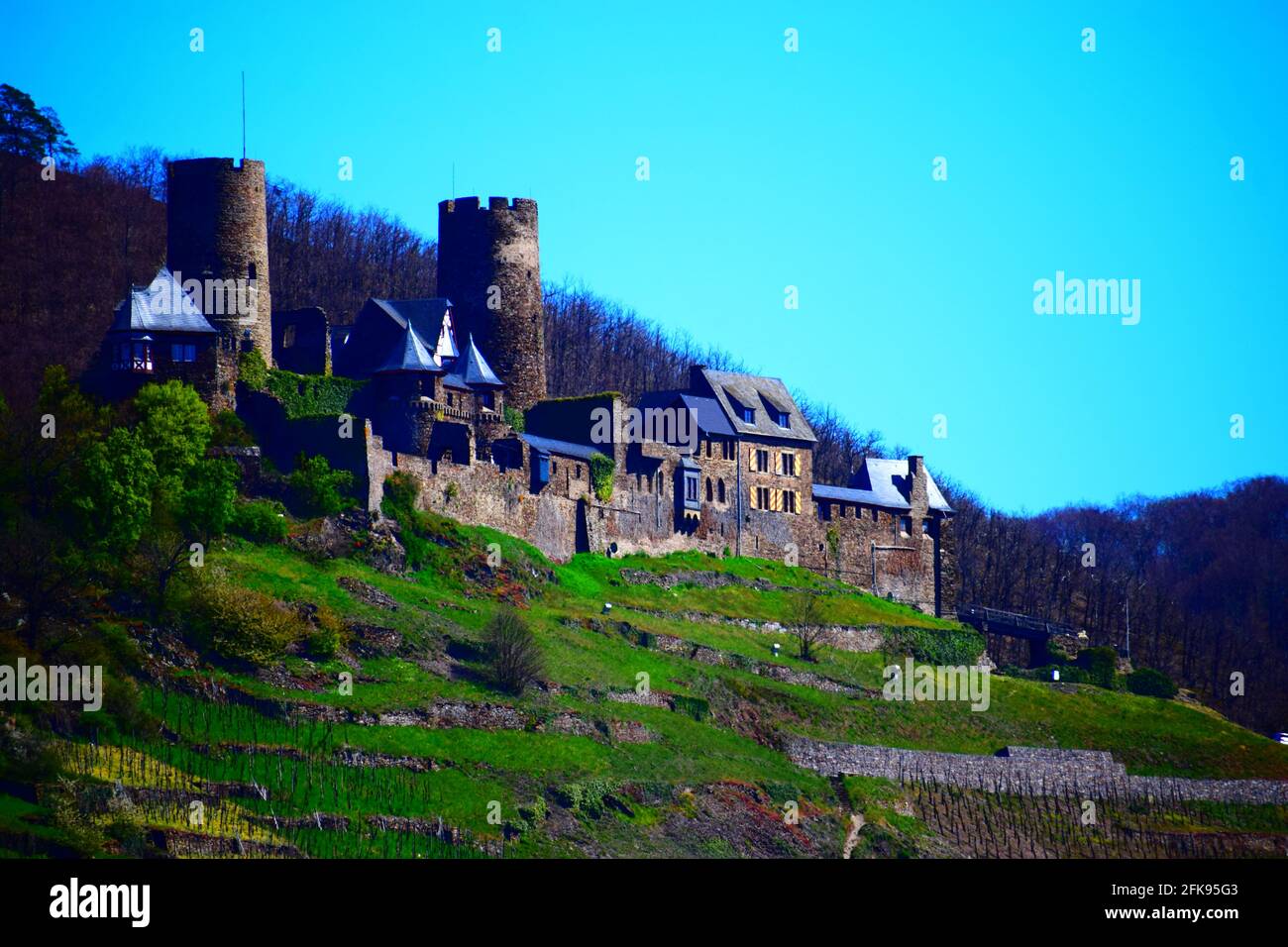 Burg Thurant con terrazze vigneto in primavera Foto Stock