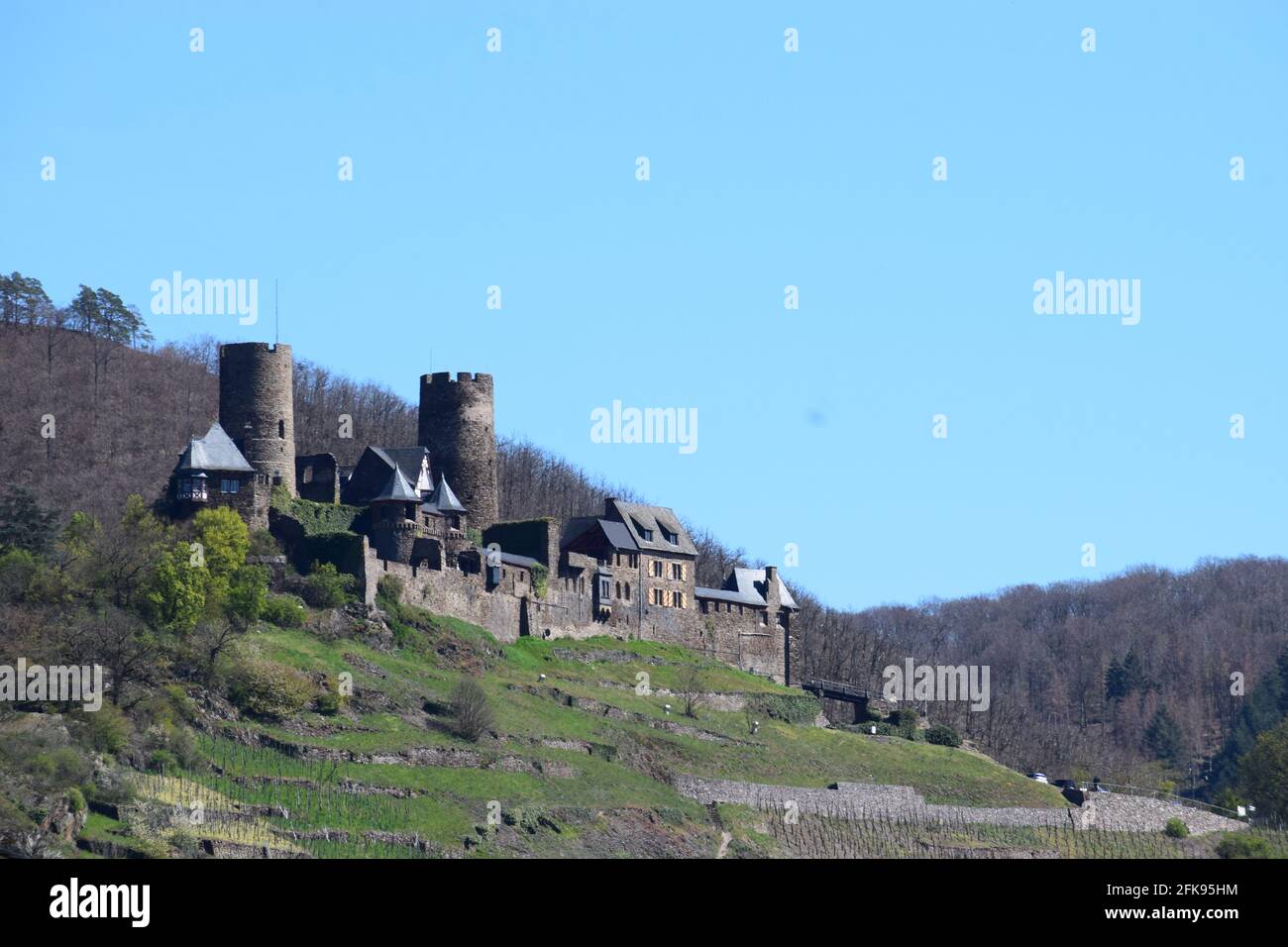 Burg Thurant con terrazze vigneto in primavera Foto Stock