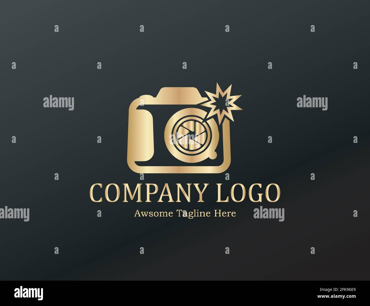 Modello vettoriale dell'icona del logo della fotografia fotografica. Logo vettoriale dell'icona della fotocamera. Logo template studio fotografico, fotografo, foto. Azienda, marchio, b Illustrazione Vettoriale