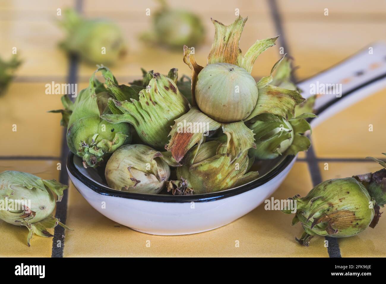 Nocciole raccolte di fresco su un cucchiaio bianco di cina su giallo piastrelle Foto Stock