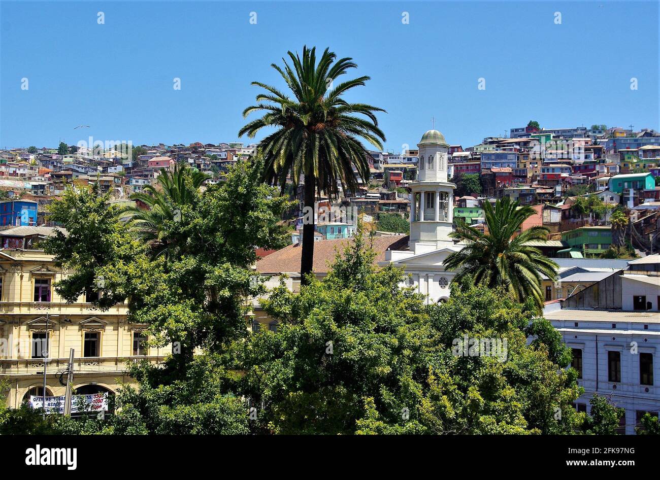 Vista di case in collina, Valparaiso, Cile, Sud America Foto Stock